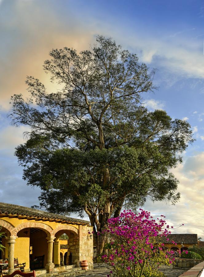 פאיפה Hotel Hacienda El Salitre מראה חיצוני תמונה