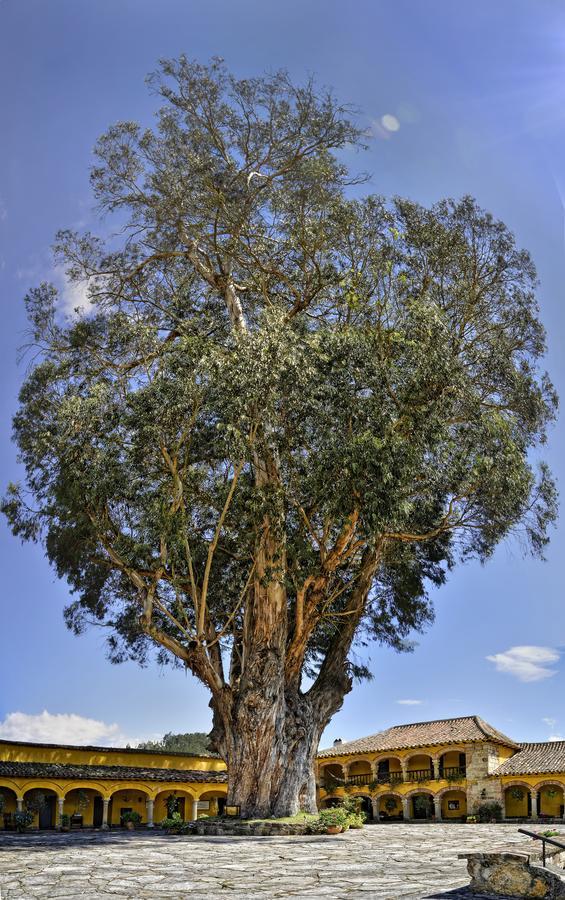 פאיפה Hotel Hacienda El Salitre מראה חיצוני תמונה